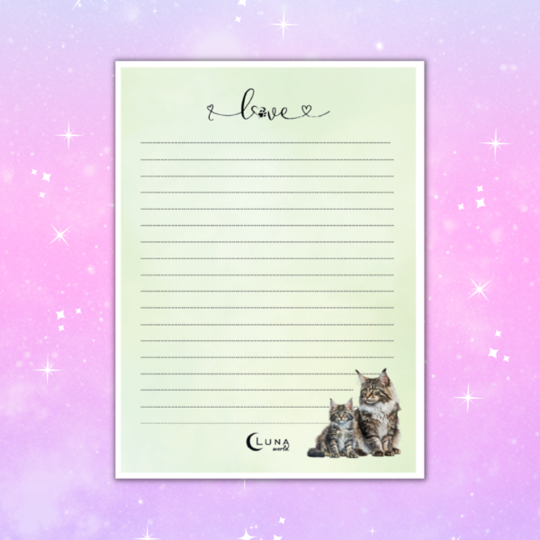 maine coon notes