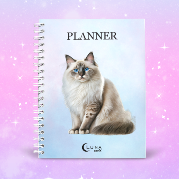 ragdoll planner kalendarz
